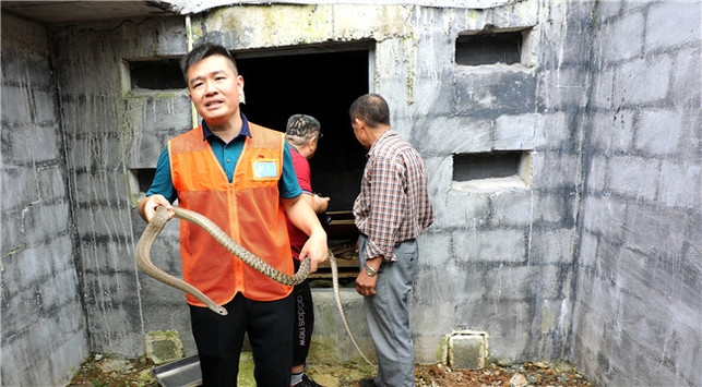 河池大化縣：探索産業扶貧新樣板在廣西推廣