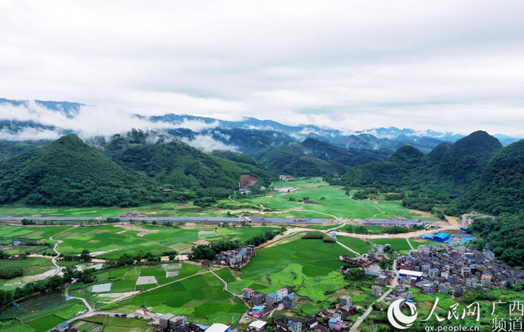 廣西：夏日田園風光好