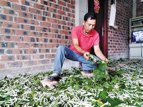 自強不息挺直人生脊梁 奮鬥不止帶富一方百姓