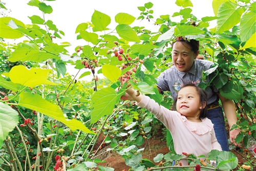 南寧邕寧區創建廣西特色旅遊名縣：壯鄉福地 生態邕寧