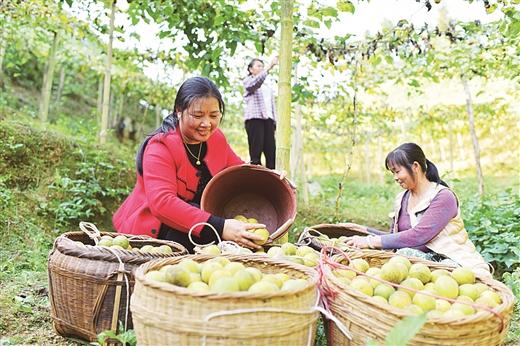 桂林：美麗山水間奏響脫貧攻堅最強音 ——桂林市脫貧攻堅工作綜述