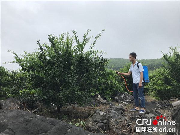 （在文中作了修改）讓夢想之路烙上“實幹”腳印——廣西鹿寨大力發展産業助力脫貧