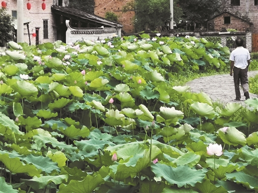 古韻悠悠深坡村