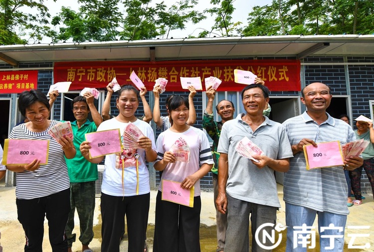 千名記者一線行|上林縣洋造村：昔日“空殼村”變“集體經濟強村”