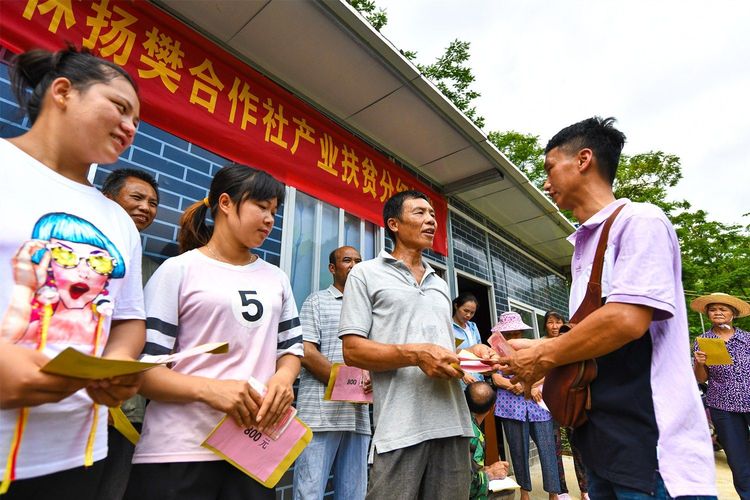 千名記者一線行|上林縣洋造村：昔日“空殼村”變“集體經濟強村”