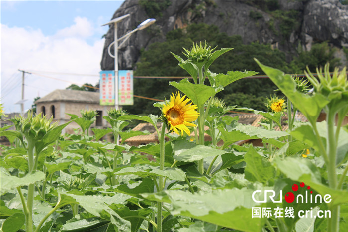 【A】拆除舊房奔小康——玉林市陸川縣脫貧攻堅與鄉村振興無縫銜接