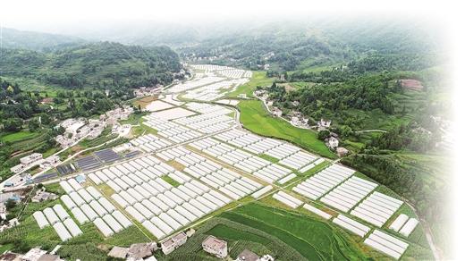 敢為善治 全力打造土地綜合整治廣西樣板 ——解讀全域土地綜合整治的“柳南模式”