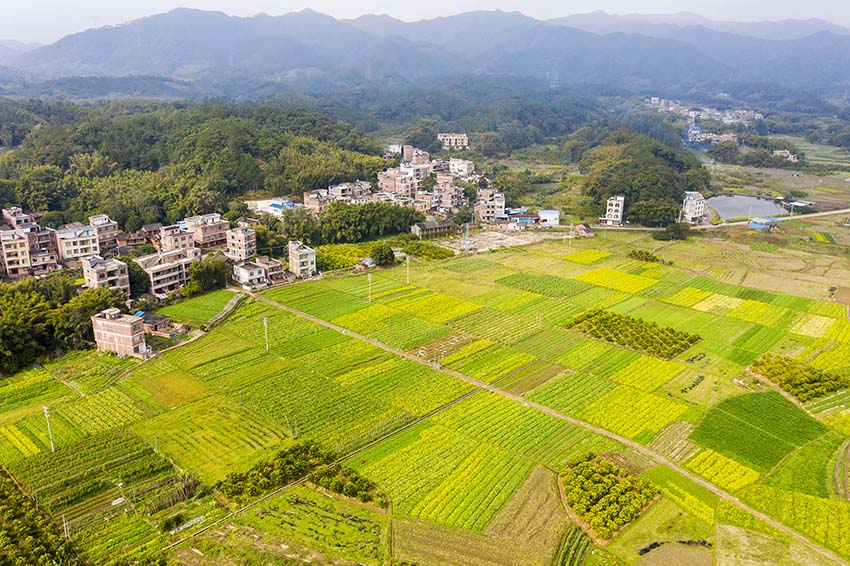 廣西梧州：綠色田園鄉村如畫