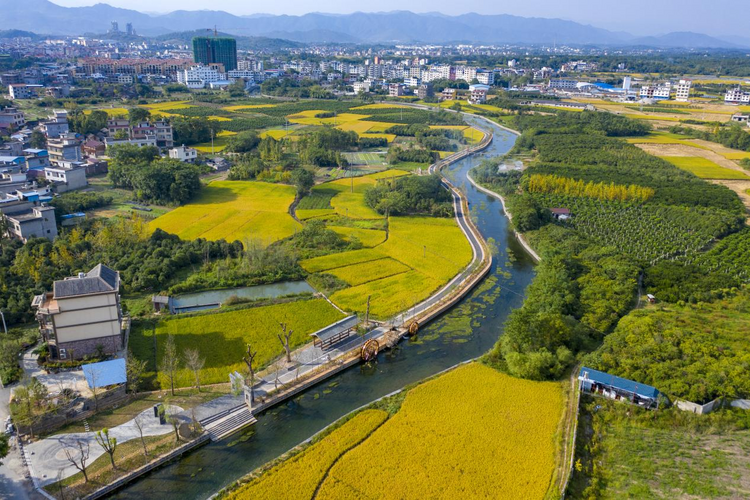 桂林興安：“紅綠金”交相輝映 繪就文旅絢麗畫卷