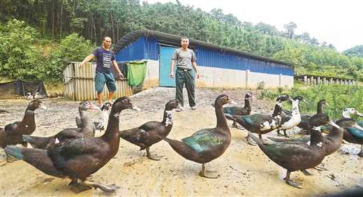 退伍老兵的扶貧新戰場