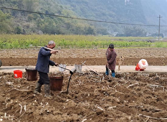 廣西馬山縣：“農”墨重彩繪就鄉村振興新畫卷