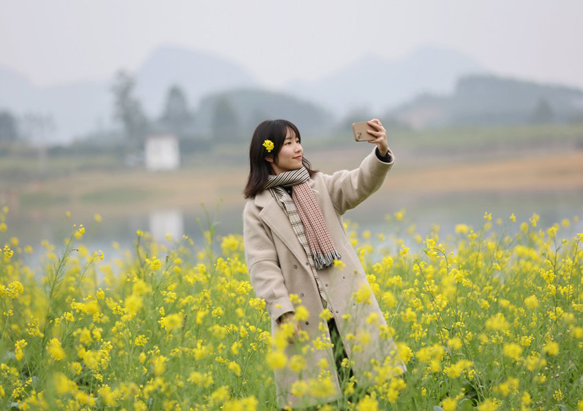 廣西柳城：春花爛漫遊人醉