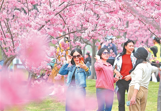 春暖花開處處景