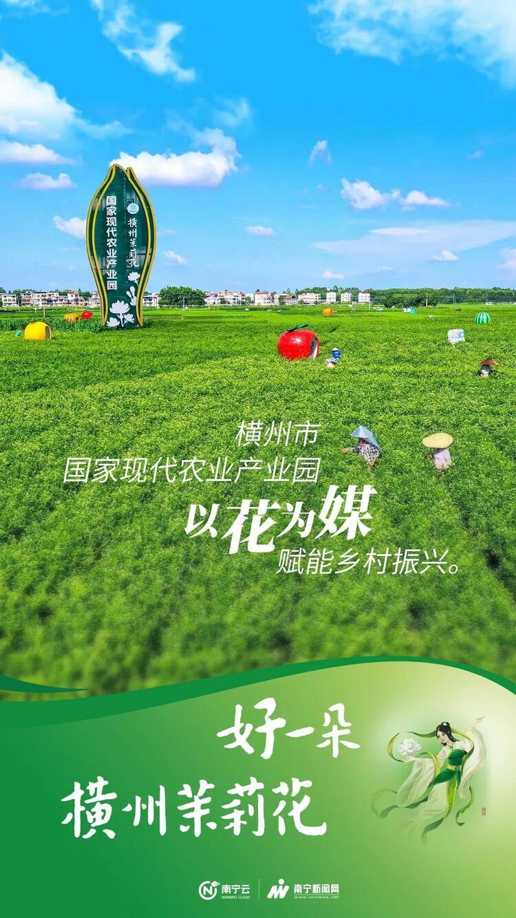 全球10朵茉莉花，6朵來自廣西橫州！橫州市打造“茉莉花+”特色産業推動産城鄉融合發展