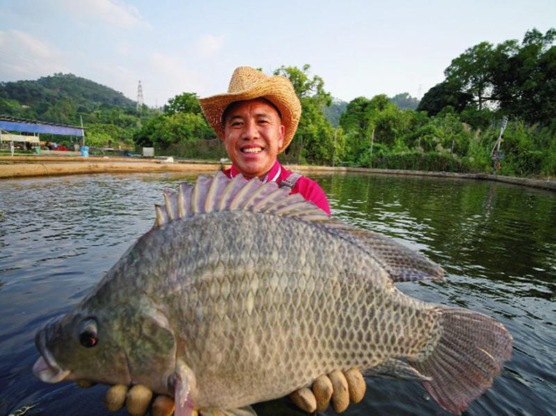 南寧市武鳴區羅波鎮：一條小鯛魚“遊”出大産業示範園