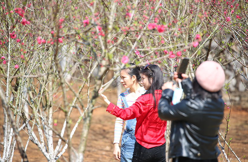 廣西：賞花踏春好愜意