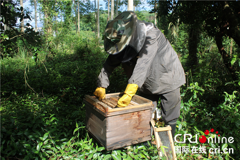 自治區定貧困村和自治區級貧困村是一個意思，已改成級【A】玉林市陸川縣：貧困夫婦“種養”出幸福生活（組圖）