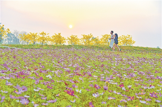 春暖花開處處景