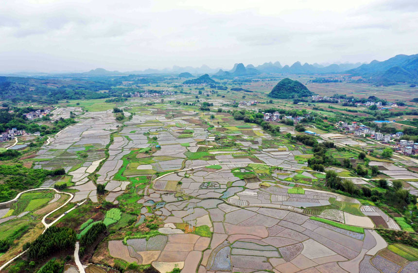 廣西：田園美景入畫來