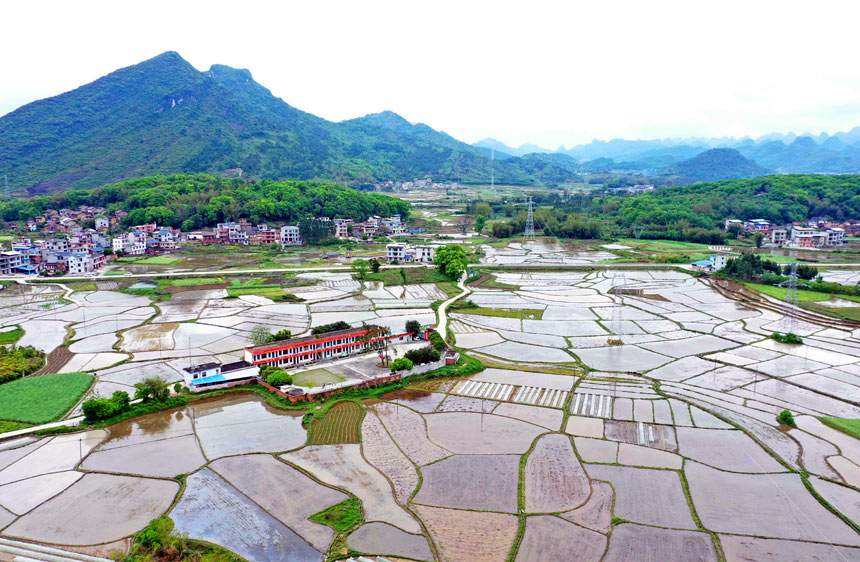 廣西：田園美景入畫來