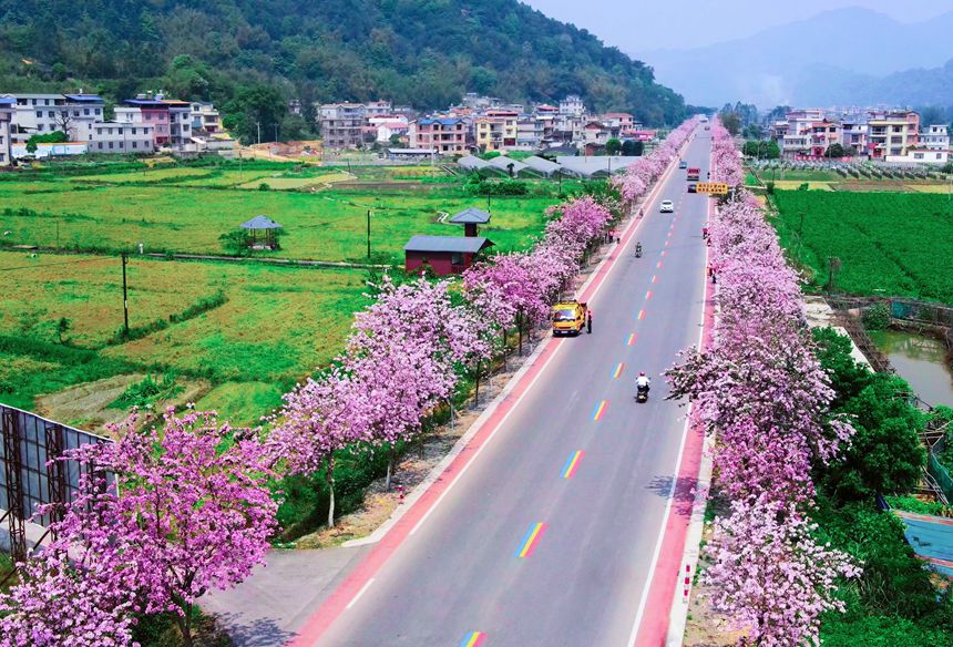 廣西“壯美公路”美如畫