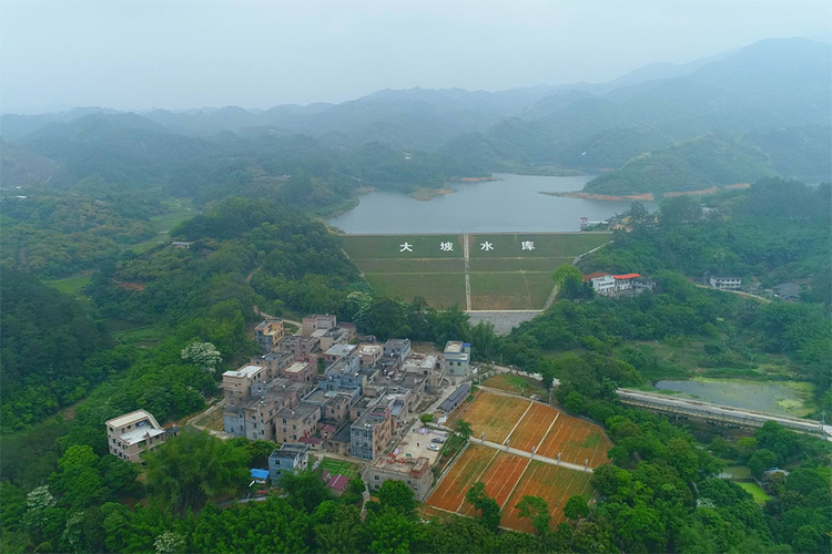 廣西興業縣小平山鎮：鄉村美景入眼來