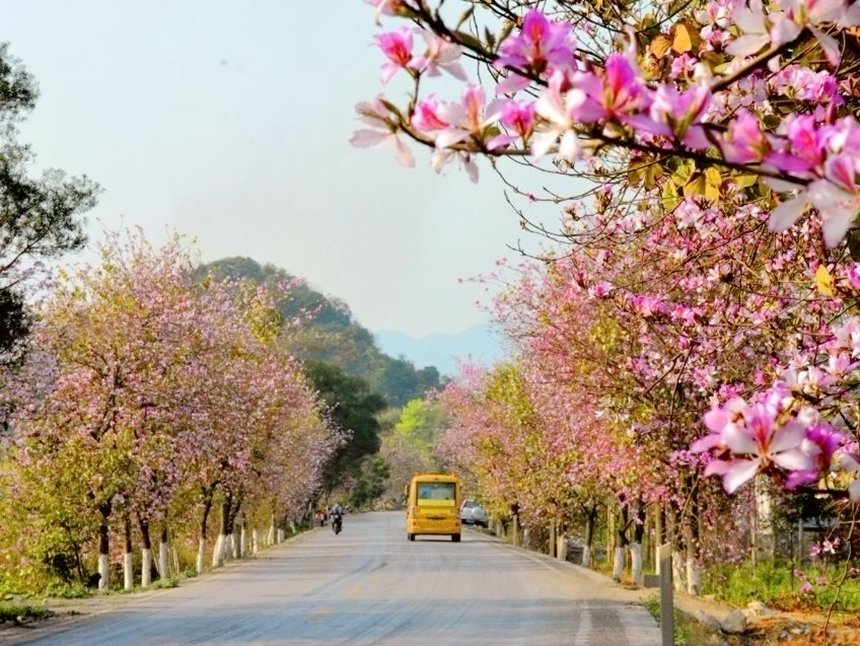 廣西“壯美公路”美如畫