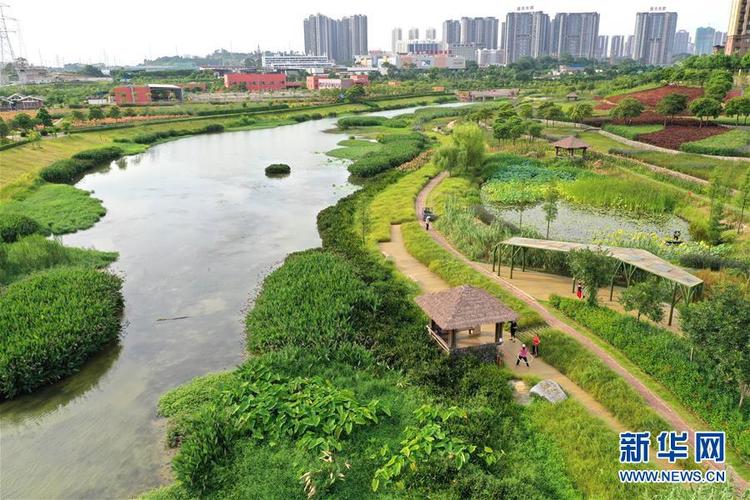 南寧那考河濕地公園：一條“臭水溝”的華麗轉身