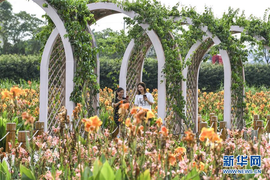 南寧那考河濕地公園：一條“臭水溝”的華麗轉身