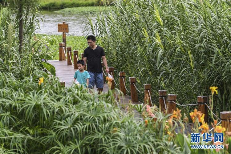 南寧那考河濕地公園：一條“臭水溝”的華麗轉身