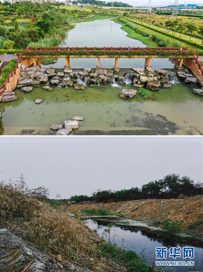 南寧那考河濕地公園：一條“臭水溝”的華麗轉身