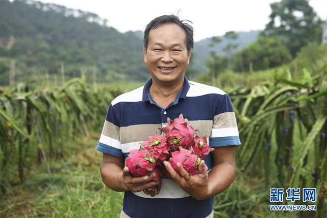 “我的生活會越來越紅火”——脫貧戶楊海的致富夢