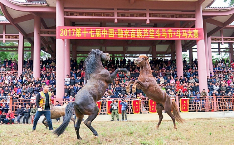 （有修改）【A】【廣西好網民】“旅遊大V”黃亦華：行走攝影40余載 許多網友因他愛上廣西