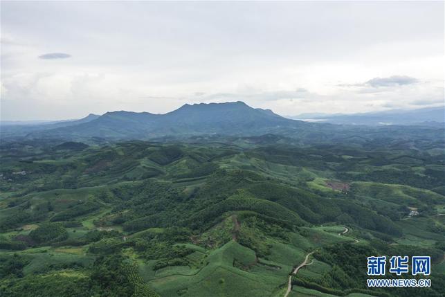 “十萬大山”秋色美