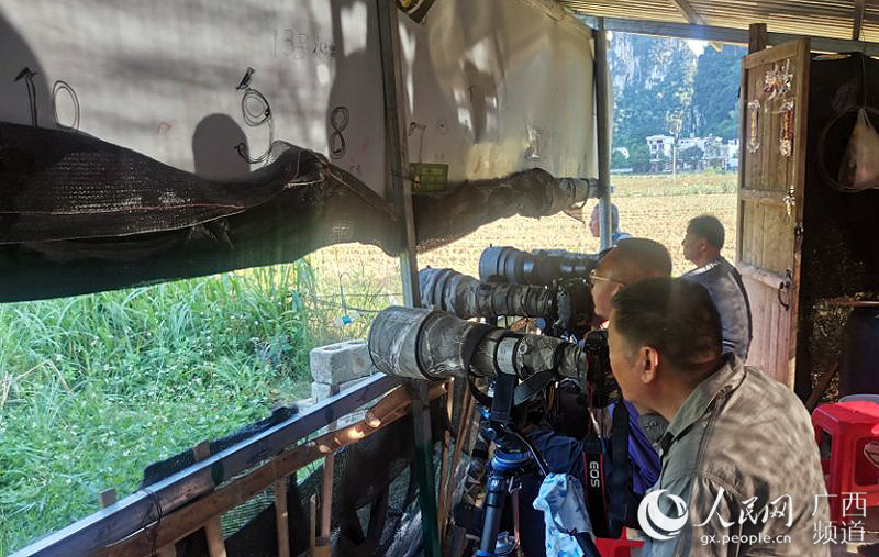 觀鳥經濟讓村民在家門口吃“旅遊飯”