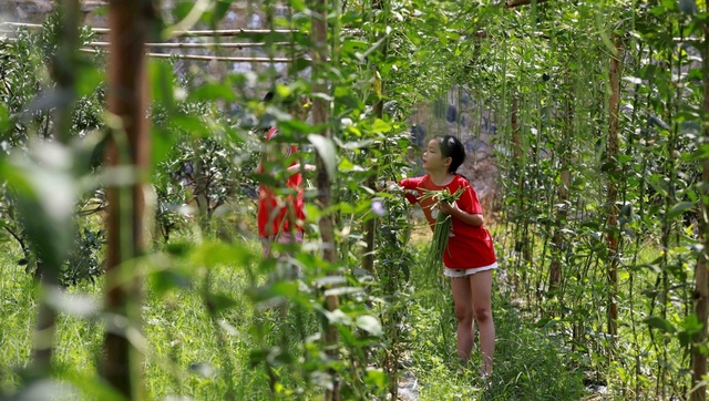 廣西：雲霧繚繞　宛如仙境