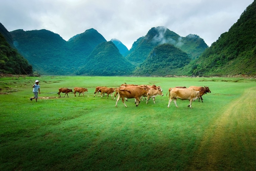 廣西西林：湖草兩相宜 醉美盆歪湖