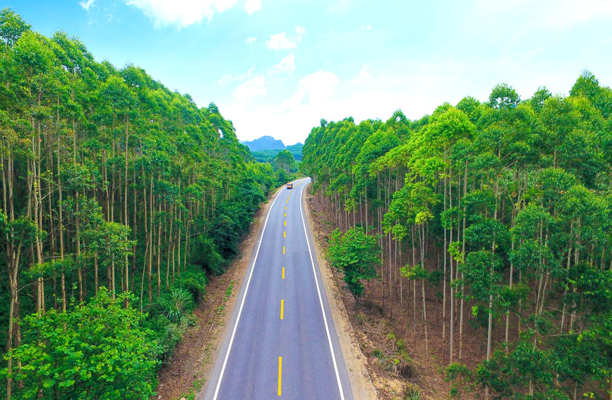 廣西：建設 “壯美公路” 助力鄉村振興