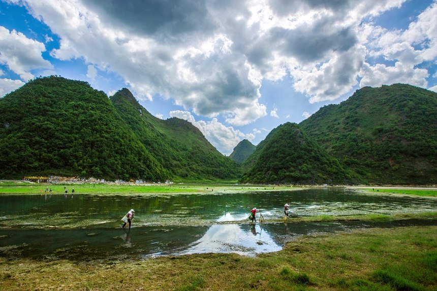 廣西西林：湖草兩相宜 醉美盆歪湖