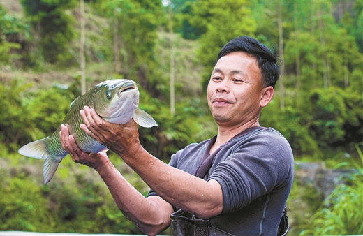 廣西容縣：石窩山泉養好生態魚