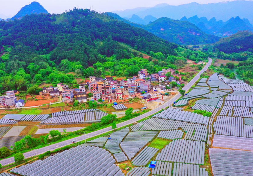 通往秋天的“壯美公路”