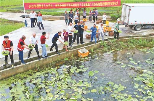 “萬畝螺塘”助脫貧