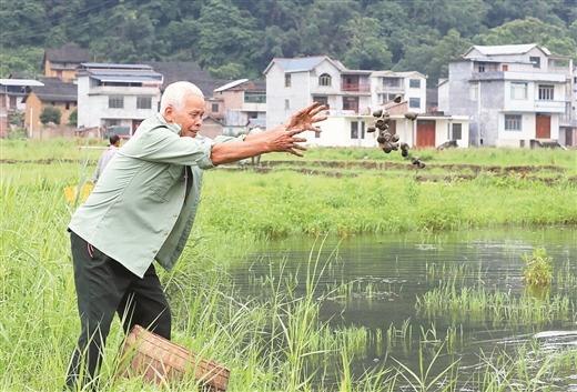 “萬畝螺塘”助脫貧