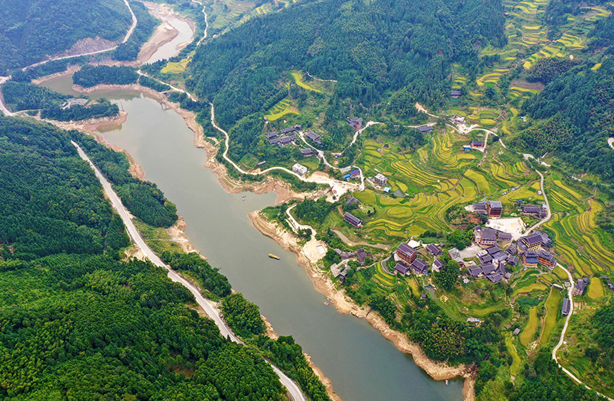 廣西融水：苗山深處沃野生金