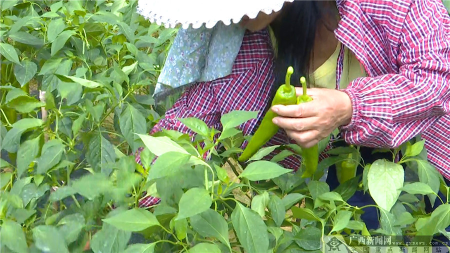 【你笑起來真好看】廣西桂林：堅持發揚釘釘子精神 創新實施旅遊扶貧