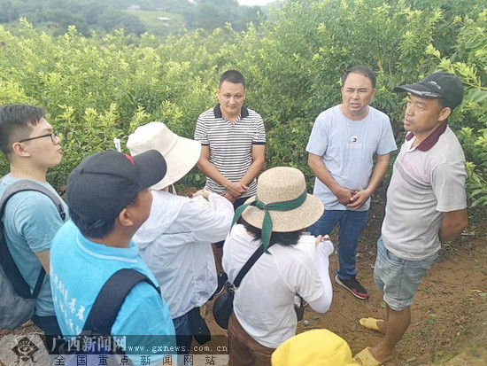 【你笑起來真好看】廣西欽州：繃緊弦、不放鬆 堅決打贏脫貧攻堅戰