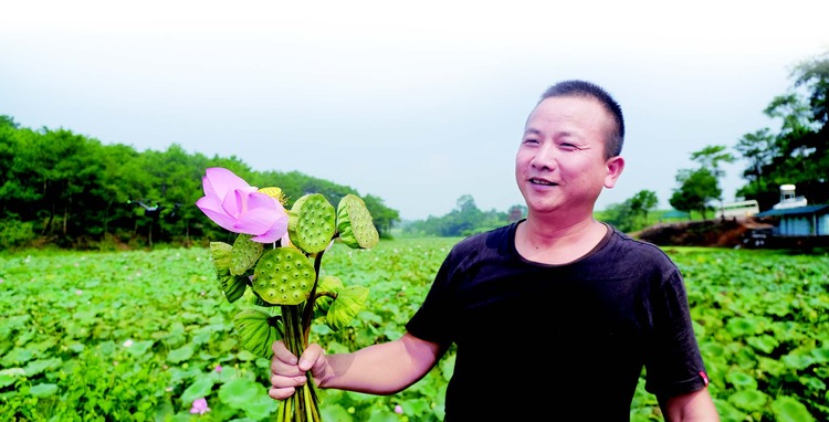 南寧：金秋時節迎來第五個中國農民豐收節 青秀區田間地頭處處好“豐”景