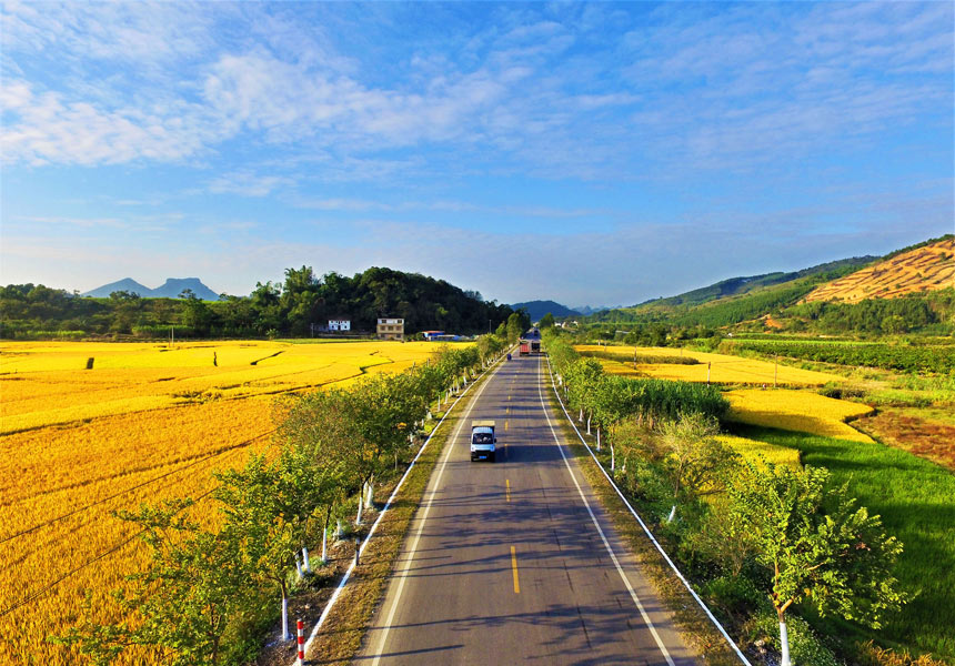 通往秋天的“壯美公路”