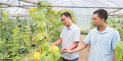 “走東盟萬里 看絲路畫卷”系列報道之老撾篇