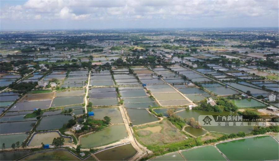 加視頻【你笑起來真好看】廣西北海市：全面小康路上一個不漏